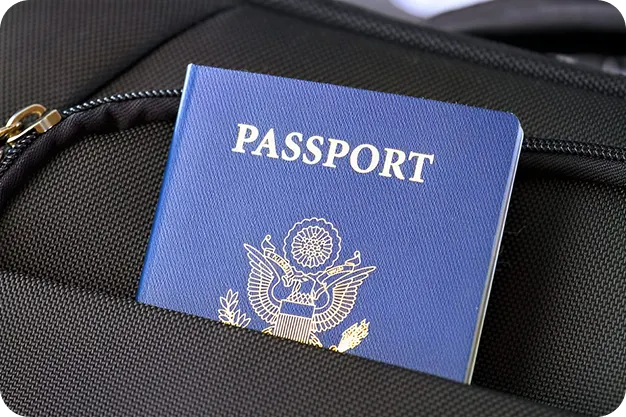 Travel Documents - Oegema, Nicholson & Associates