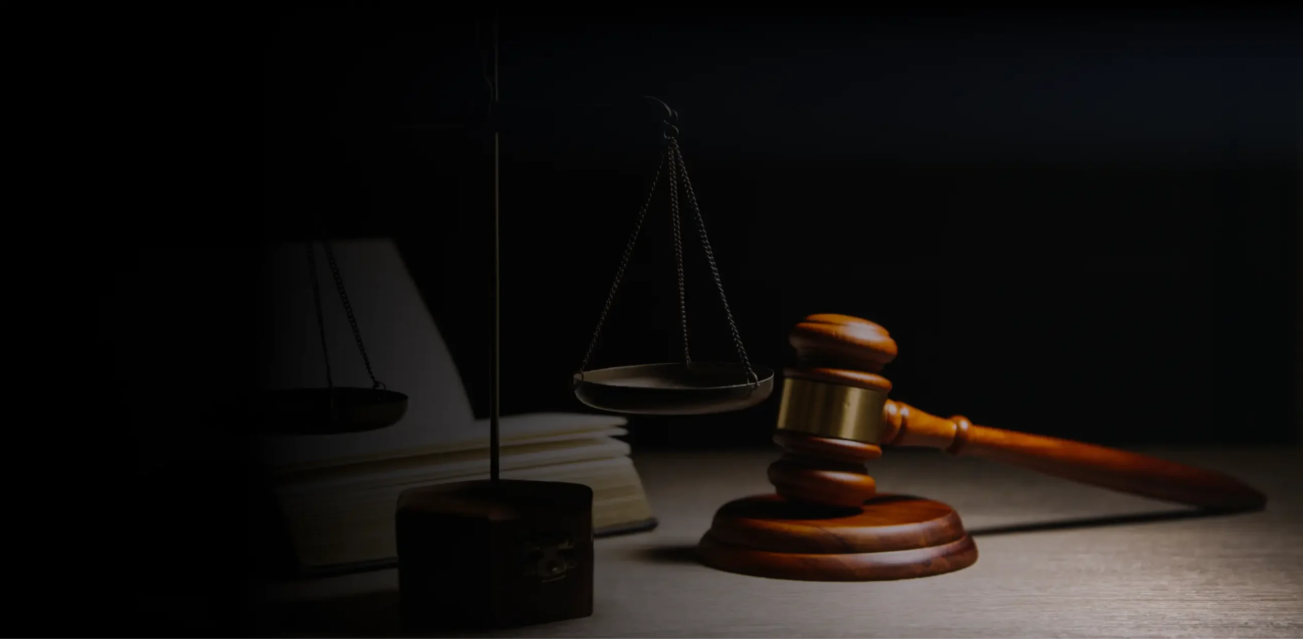 Professional Negligence Litigation - Zayouna Law Firm
